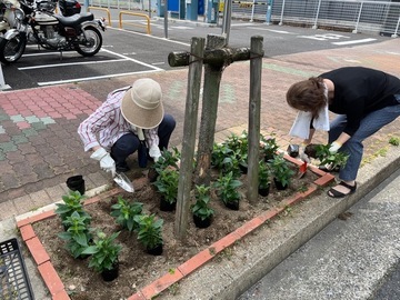 写真：花植えの様子1