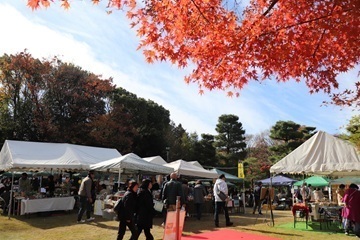 写真：白鳥庭園観楓会の様子1