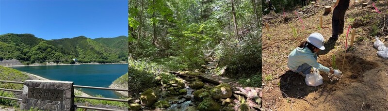 味噌川ダム