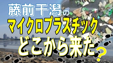 動画サムネイル：【動画】藤前干潟の漂着物中のマイクロプラスチックとその発生源の調査