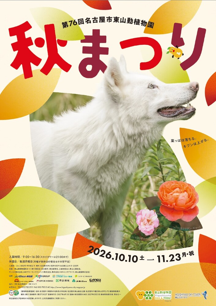 秋まつりの広報用ポスター