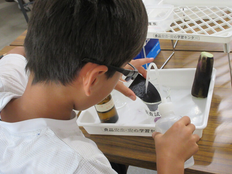 写真：着色料の検査体験の様子