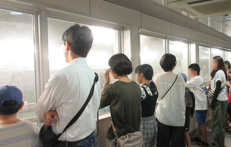 写真：市場の見学風景