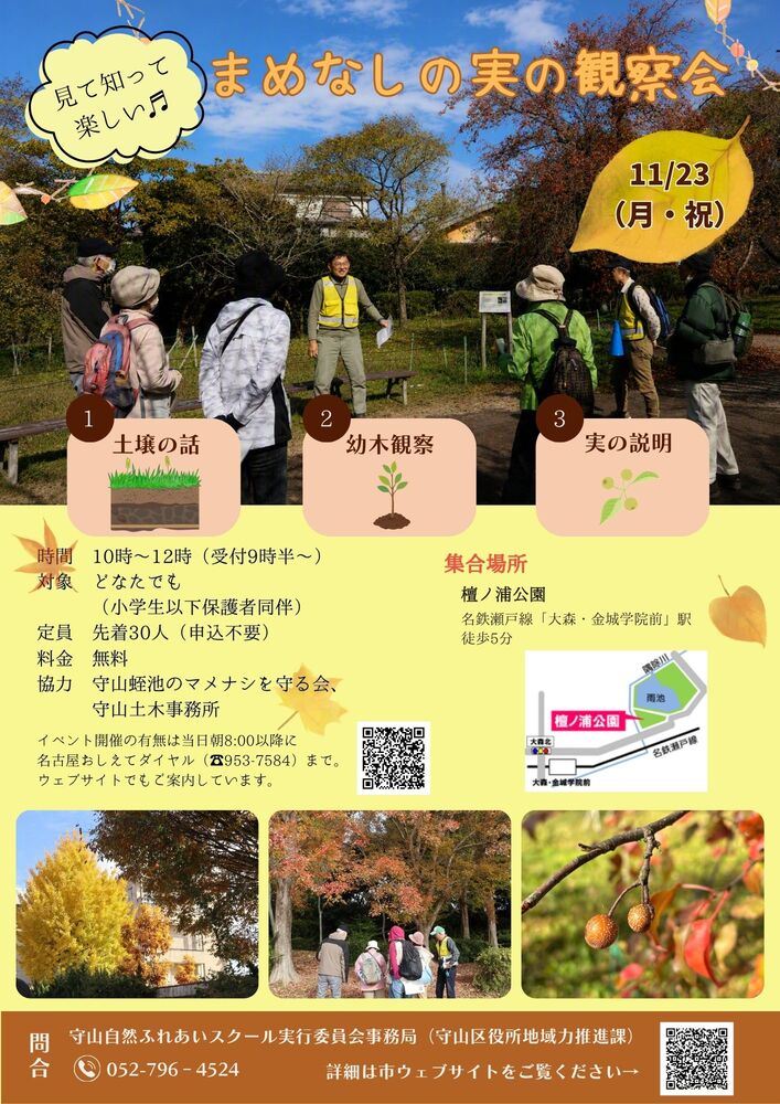 まめなしの実の観察会のチラシ