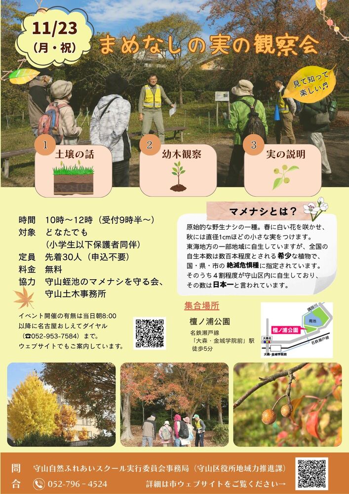 まめなしの実の観察会のチラシ