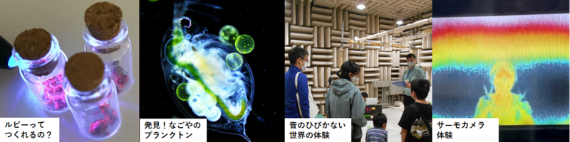 ルビーやミジンコの写真
