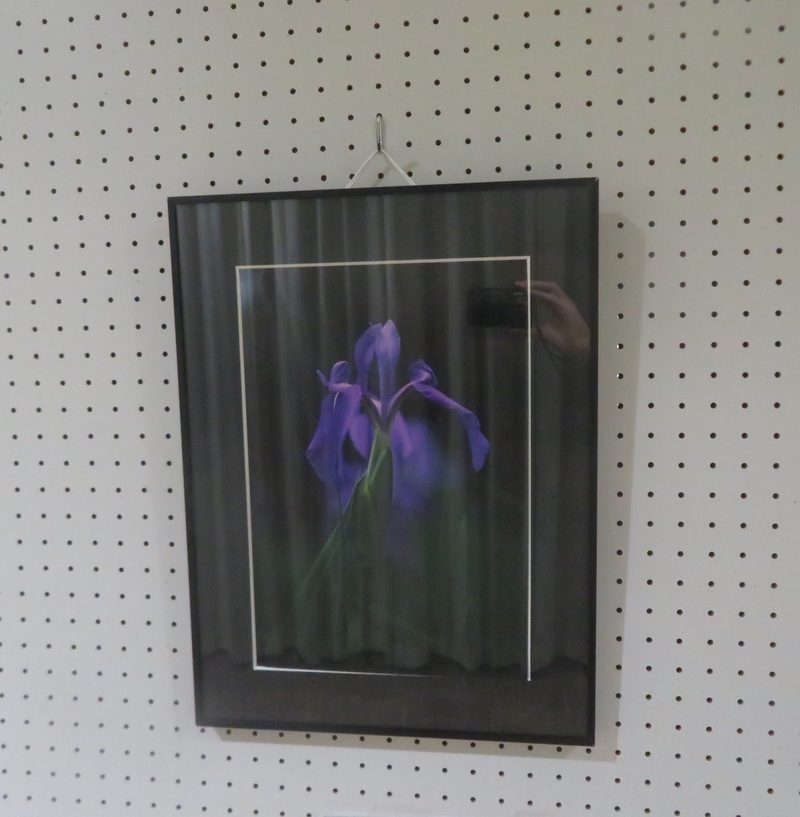中日賞の写真作品です