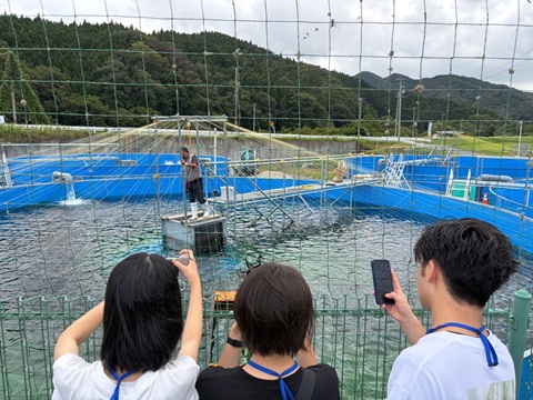 株式会社ニッスイサーモン「気仙川養殖場」の見学風景
