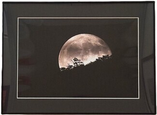 写真：写真の部　市長賞作品