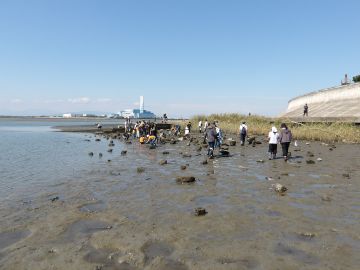 写真:藤前干潟