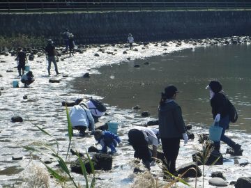 写真:観察の様子