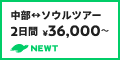 中部 ソウルツアー 2日間36,000～ NEWT（外部リンク・新しいウィンドウで開きます）