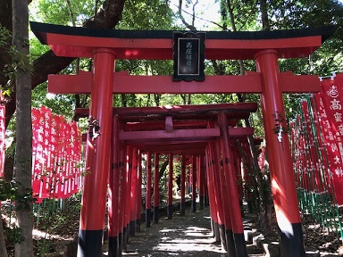 連なる朱塗りの鳥居