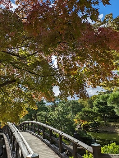 白鳥公園の紅葉