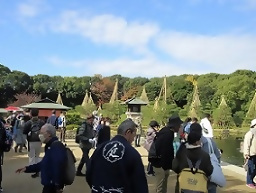 白鳥庭園の観楓会