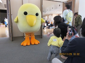 入口で出迎えるぴよか