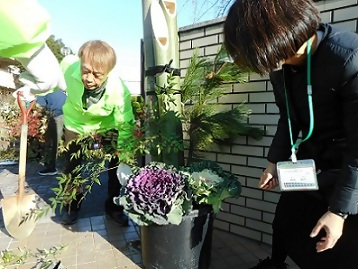 門松の葉牡丹