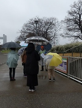 白鳥公園の様子