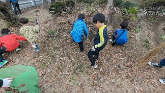 枯れ草を集める幼児たち