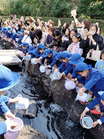 園児たちによるメダカの放流