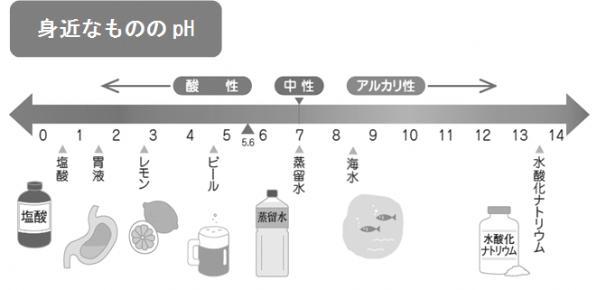 身近なもののピーエイチ