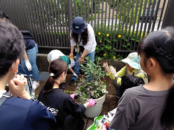 滝澤氏による植え方講習