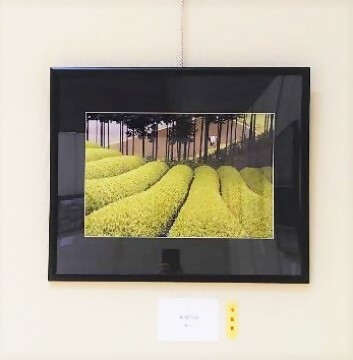 写真の部　市長賞作品