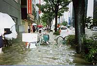 浸水のようす