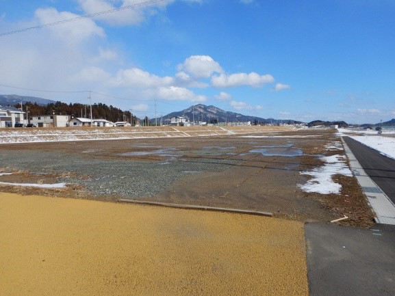 平地部の写真。奥には山が見える。