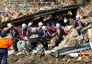 東日本大震災被災パネル