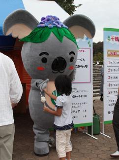こあらっちの写真