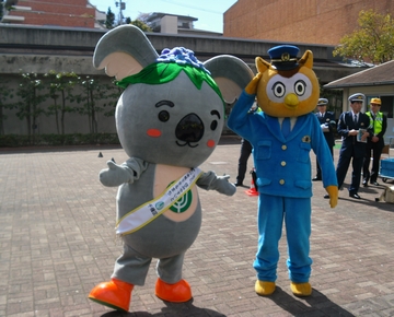 こあらっちとコノハけいぶ