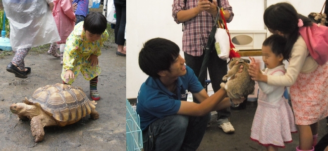 移動動物園の様子