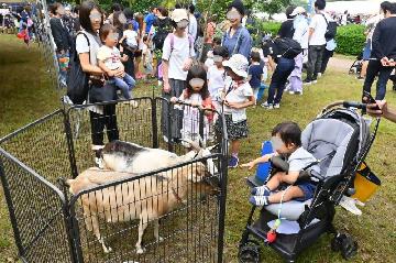 移動動物園を楽しむ人々の様子