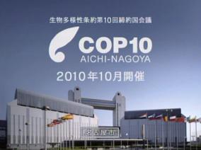 2010年10月開催