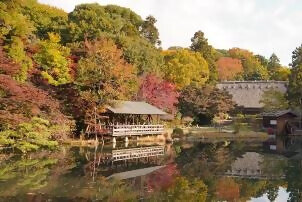 奥池逆さもみじ(昼)