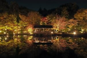 奥池逆さもみじ(夜)