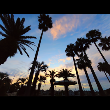 最優秀賞の作品です。