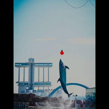 優秀賞の作品1点目です。