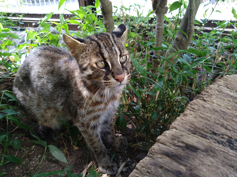 NO.83勇希（ゆうき）