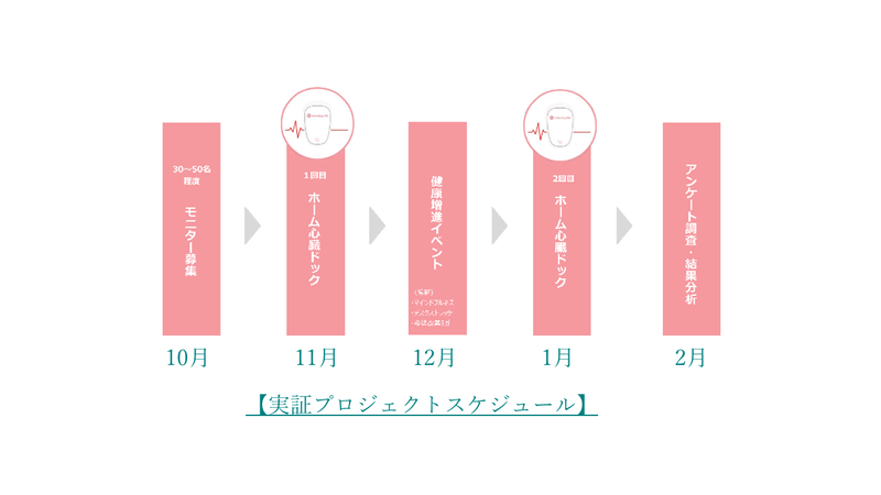実証プロジェクトスケジュール