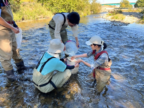 河川等生物調査