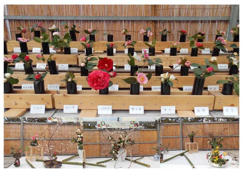 第52回名古屋城つばき展のポスター