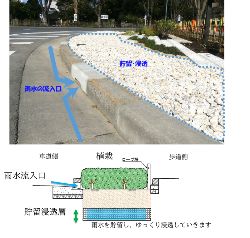 雨庭断面