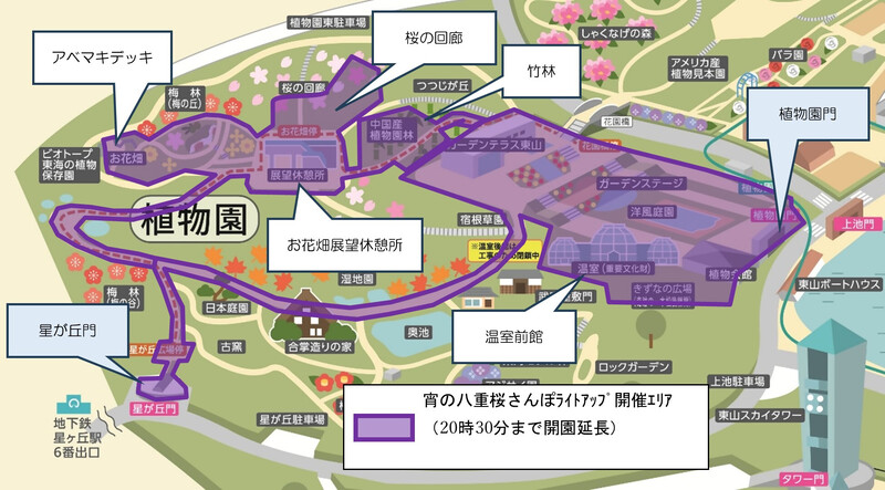 ライトアップ開催エリア図