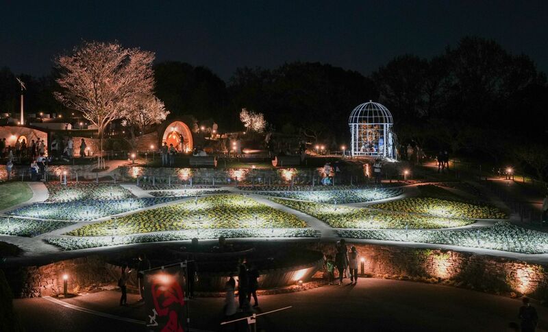 展望台からの景色