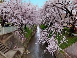 御用水跡街園の外観