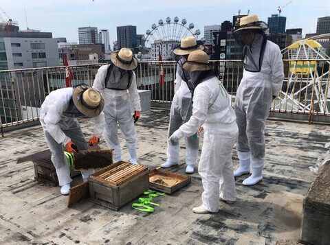 養蜂作業のイメージ画像