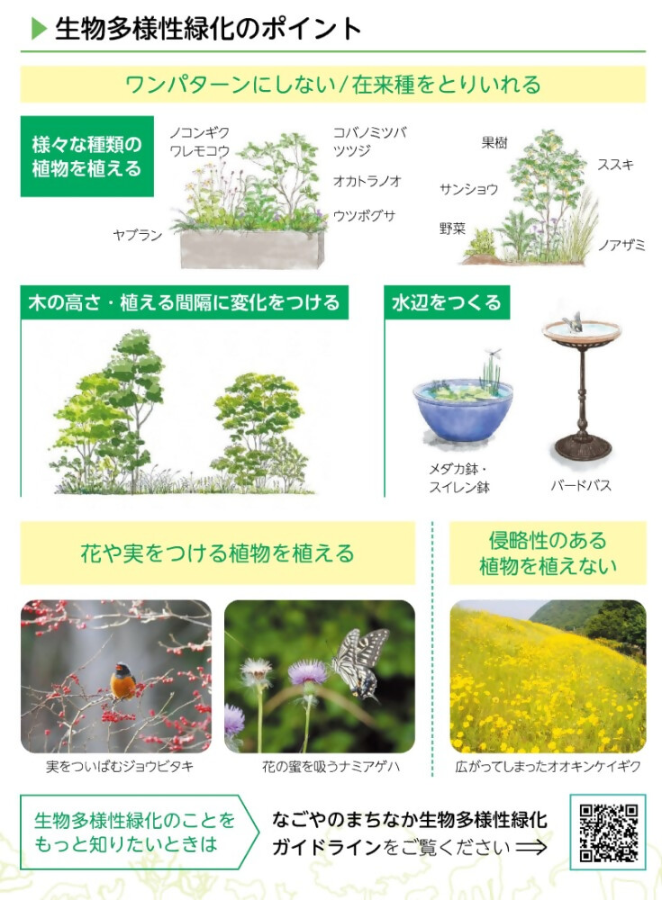生物多様性に配慮した緑化のポイント画像