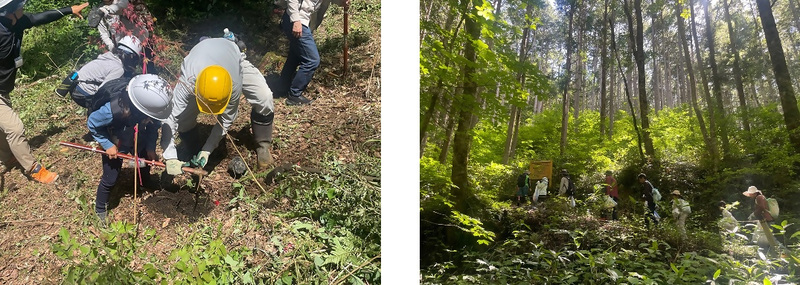 植樹体験と水木沢天然林の散策の写真